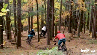 枫叶染红山野,骑手穿梭枫林